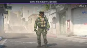 50元内好看的探员皮肤（不限T/CT）