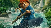 2025即将上映的电影一览，快看看有没有你期待的！