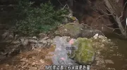 黑神话攻略：五蕴丹炼制